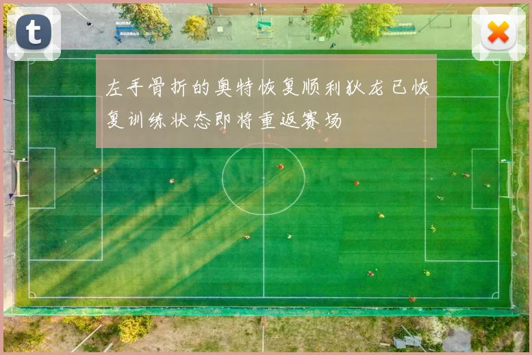 左手骨折的奥特恢复顺利狄龙已恢复训练状态即将重返赛场