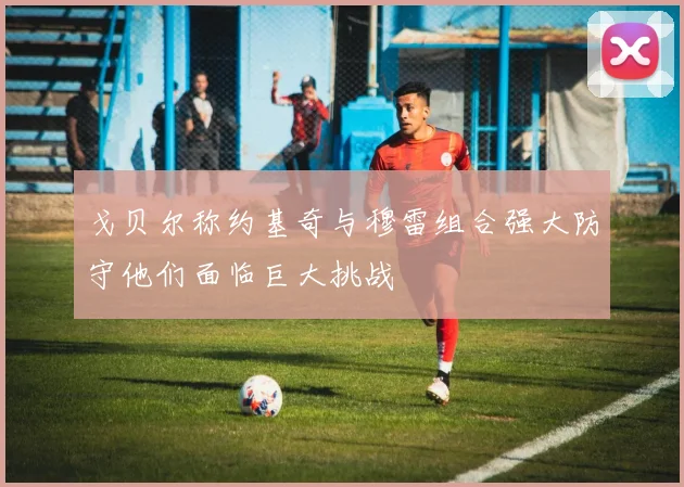 戈贝尔称约基奇与穆雷组合强大防守他们面临巨大挑战